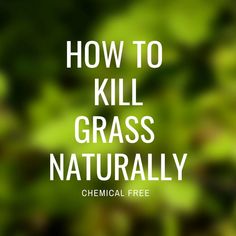 the words how to kill grass naturally are in front of a blurry green background