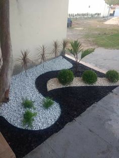 an outdoor area with black and white pebbles, plants and gravel on the ground in front of a building