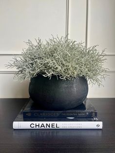 Artificial silver santolina set in a black melange terracotta bowl planter displayed on a stack of books. Long Table Centerpieces For Home, Plants As Centerpieces, Indoor Plants Aesthetic, Indoor Plant Hacks, Easy Centerpieces, Plant Centerpieces, Coffee Table Plants, Decoration Plants, Black Living Room Decor