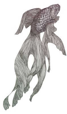 an ink drawing of a fish with long, slender legs and large fins on it's back