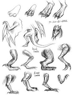 some drawings of different types of legs and feet, all drawn in pencil on white paper