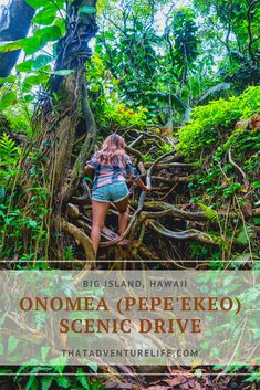 a woman climbing up a tree in the jungle with text overlay that reads, onomea peppekeo scenic drive