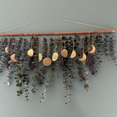 a group of plants hanging on a wall next to a wooden pole with string attached