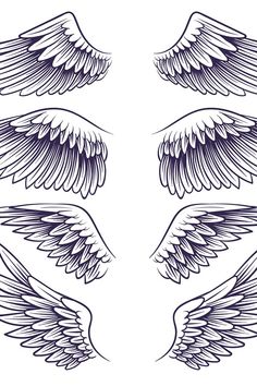 four angel wings on white background