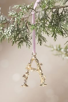 an ornament hanging from a tree branch