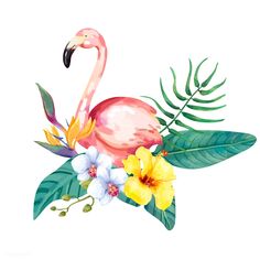 a pink flamingo with tropical leaves and flowers