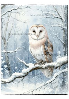 an owl sitting on top of a tree branch in the snow