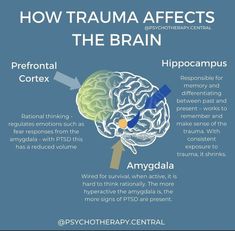 Brain Anatomy And Function, Nervus Vagus, Brain Tumors, Psychology Notes, Psychology Studies, Brain Facts, Brain Anatomy, Mental Health Facts, Autonomic Nervous System