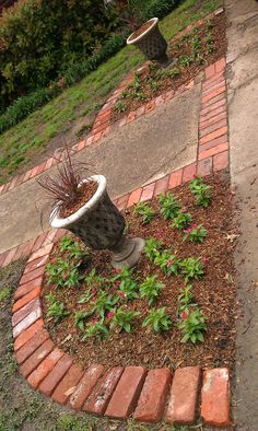 a potted plant sitting on the side of a road next to a brick walkway