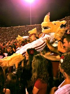 a large group of people at a football game, some wearing costumes and others in the stands