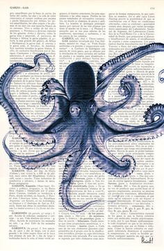 an octopus is shown in blue ink on an old book page with the words,