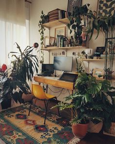 a home office with plants in the corner and a rug on the floor next to it