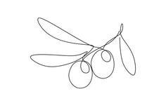 an olive branch with two olives drawn in one continuous line on a white background