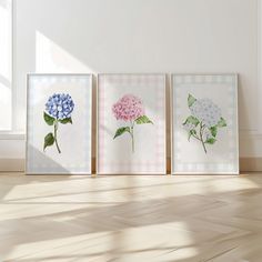 three framed flowers are on the floor in front of a window