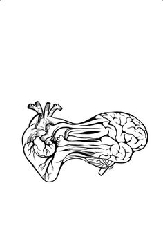 a drawing of the human heart and brain