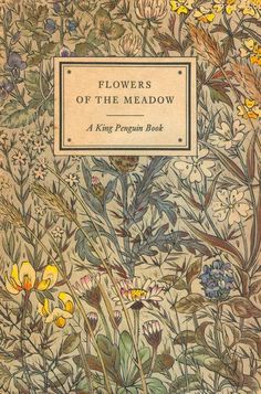 flowers of the meadow a king penguin book