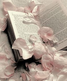 an open book surrounded by pink flowers and petals