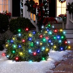 christmas lights in the snow on top of plants and bushes outside a house with wreaths