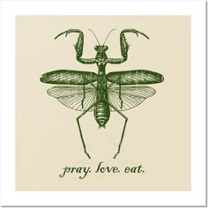 a green insect with the words pray love eat