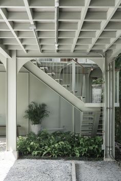 an outdoor area with stairs and plants