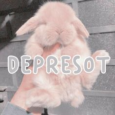 a person holding a stuffed animal in their hand with the words depresot on it