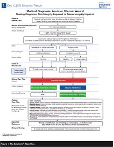 the medical diagram for chronic wound is shown in this document, which shows how it can be