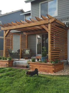 a dog is standing in the grass near a wooden pergoline and patio area