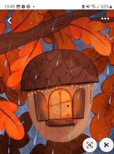 an image of a house in the rain with leaves around it and a cat peeking out