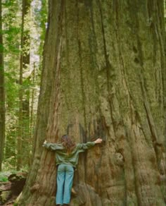 a person standing in front of a large tree