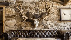 a leather couch sitting in front of a stone wall with deer heads mounted on it