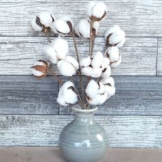 a gray vase with cotton flowers in it