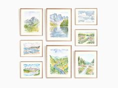 six watercolor paintings are hanging on the wall