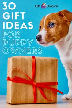 a small dog standing next to a brown box with red ribbon on it and the words 30 gift ideas for puppy owners