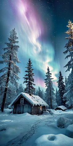 a cabin in the middle of a snowy forest with an aurora light above it and snow covered trees