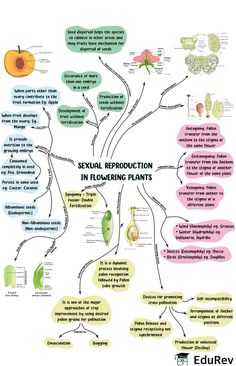 Reproduction In Flowering Plants Notes, Flower Reproduction, Biology Revision, Plant Notes