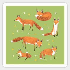 four foxes on green background with flowers