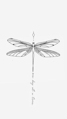 a black and white drawing of a dragonfly