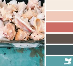 there is a container full of sea shells on the table with color swatches in it