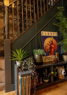 there are many plants on the shelf under the stairs