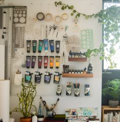 the wall is covered with many different items and plants in pots on shelves next to each other