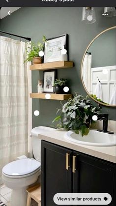 a white toilet sitting next to a sink in a bathroom under a mirror with plants on it