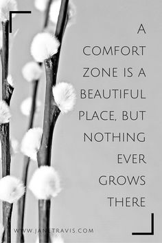 a black and white photo with the words comfort zone is a beautiful place, but nothing ever grows there