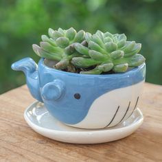 a blue whale planter with succulents in it on a wooden table