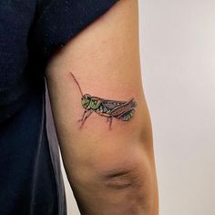 a small insect tattoo on the arm