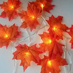 some red leaves with lights on them are laying on the table together in front of a white background