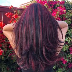 Red Cherry Cola Hair Color, Cherry Coke And Blonde Hair, Hair Dye Colors For Hispanics, Hair Dye Cherry Red, Red Cherry Highlights, Hair Inspo Color 2023, Black Cherry With Blonde Highlights, Black Hair With Red Shine, Cherry Soda Hair Color