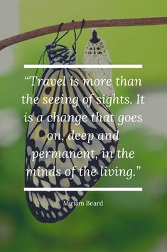 a butterfly hanging from a branch with a quote on it that says travel is more than the