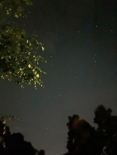 the night sky is full of stars and trees