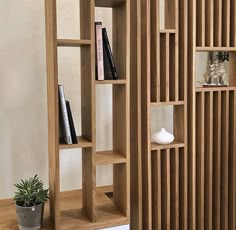 a bookshelf with three shelves and a potted plant on the floor next to it