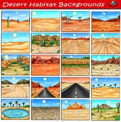 desert habitat background with different scenes